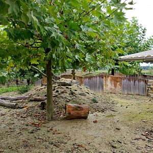 Toni's zoo Rothenburg - Meerkat enclosure