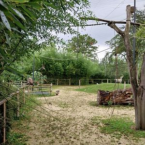 Toni's zoo Rothenburg - Great aviary