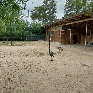 Toni's zoo Rothenburg - Great aviary & viewing platform