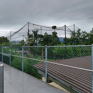 Toni's zoo Rothenburg - Great aviary