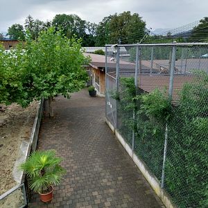 Toni's zoo Rothenburg - General view