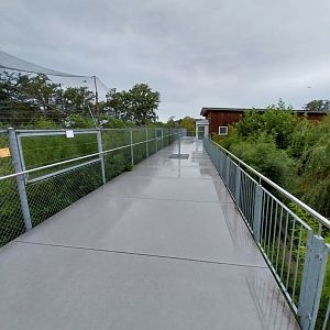 Toni's zoo Rothenburg - Viewing platform