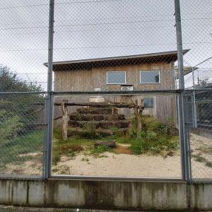 Toni's zoo Rothenburg - Leopard enclosure