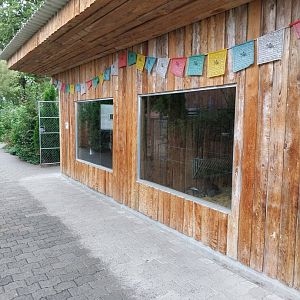 Toni's zoo Rothenburg - Reeve muntjac and domestic rabbit barn