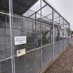 Toni's zoo Rothenburg - White tufted-ear marmoset enclosure