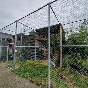 Toni's zoo Rothenburg - Owl aviaries
