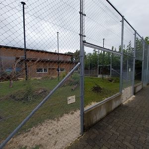 Toni's zoo Rothenburg - African spurred tortoise enclosure