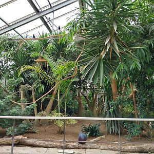 Toni's zoo Rothenburg - Tropenhaus 1 Rainforest