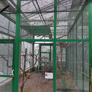 Toni's zoo Rothenburg - Tropenhaus 1 Rainforest - Toco toucan aviary