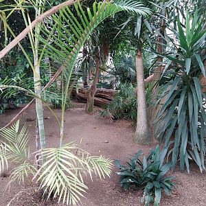 Toni's zoo Rothenburg - Tropenhaus 1 Rainforest - general view