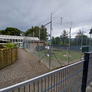 Toni's zoo Rothenburg - Tropenhaus 1 Rainforest - African penguin pool - Barbary macaque enclosure