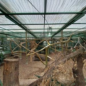 Toni's zoo Rothenburg - Tropenhaus 2 - Military macaw aviary