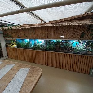 Toni's zoo Rothenburg - Reptilienhaus