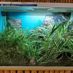 Toni's zoo Rothenburg - Reptilienhaus - Tarantula enclosure