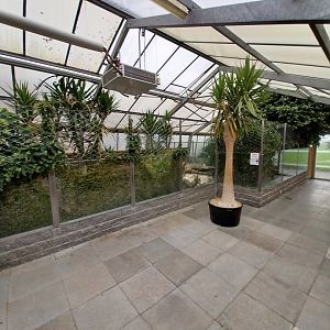 Toni's zoo Rothenburg - Tropenhaus 3 -  Dwarf crocodile enclosure