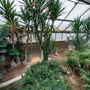 Toni's zoo Rothenburg - Tropenhaus 3 -  Dwarf crocodile enclosure