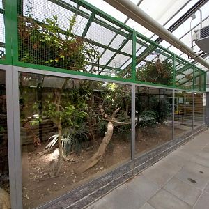 Toni's zoo Rothenburg - Tropenhaus 3 -  South American rainforest