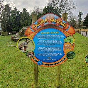 Swamp Wallaby Signage