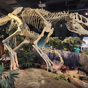 McWane Science Center - Appalachiosaurus montgomeriensis