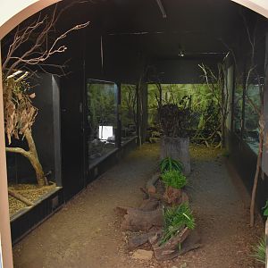 Nocturnal + Reptile Exhibits