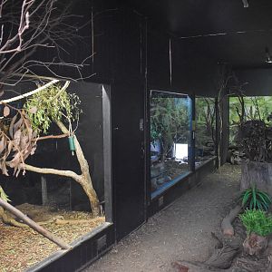 Sugar Glider / Brushtail Possum enclosures