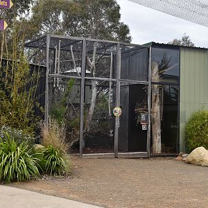 Cottontop Tamarin enclosure