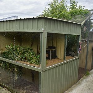 Common Marmoset enclosure
