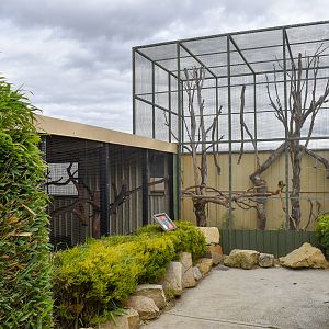 Squirrel Monkey enclosure
