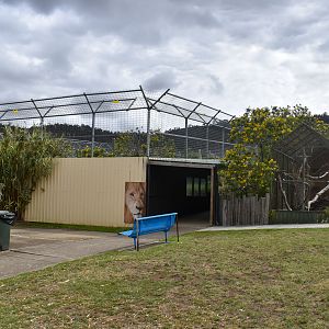 Lion enclosure