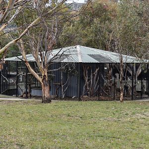 Bird aviaries