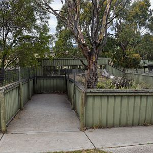 Echidna/Potoroo enclosure