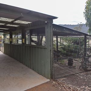 Quoll enclosures