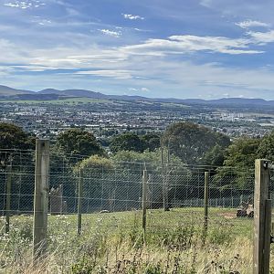 View from Giraffe Paddock