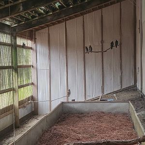 Alabama Wildlife Center - Inside the Freedom Flight barn