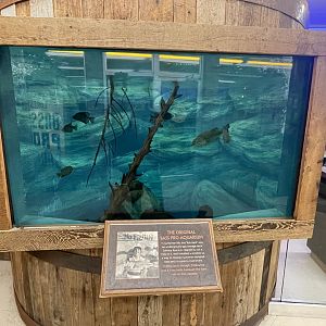 Original Bass Pro Tank