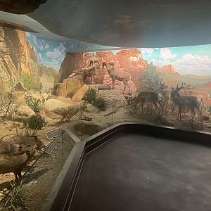 Grand Canyon National Park Room