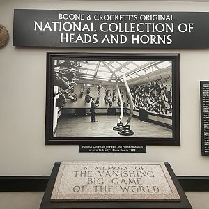 Heads and Horns Room