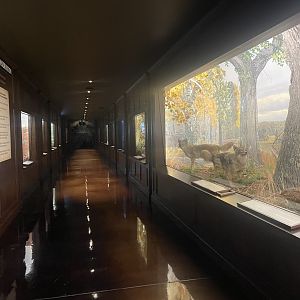 Diorama Hall