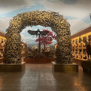 Bucks and Bulls Room