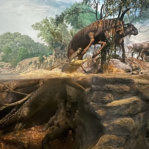 Wildebeest and Crocodile Diorama