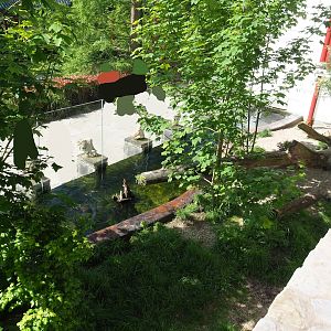 Indochinese smooth-coated otter exhibit, 2023-05-16