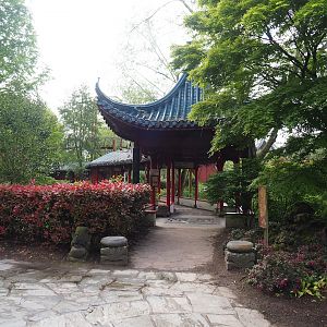 Entrance to Chinese viewing corridor, 2023-05-16