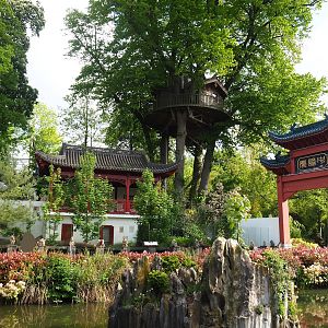 Chinese gate, Indochinese smooth-coated otter exhibit and viewing pavilion and director's tree house, 2023-05-16