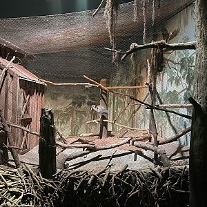 Great Blue Heron Exhibit