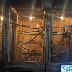 Barn Owl Exhibit
