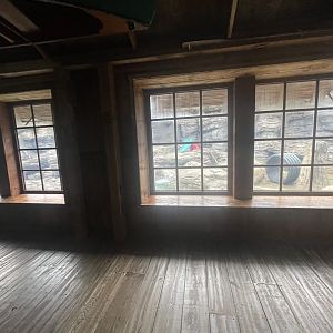 American Black Bear Outdoor Viewing Area