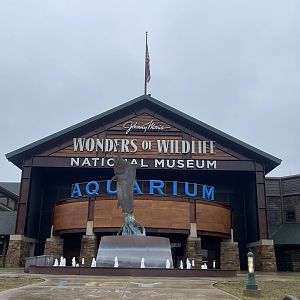 Wonders of Wildlife Entrance