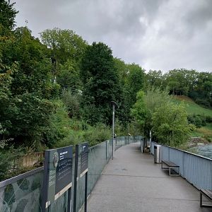 Bärenpark - Visitors path along the banks of the Aare
