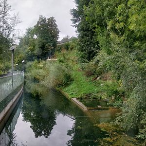Bärenpark - Second section bathing area