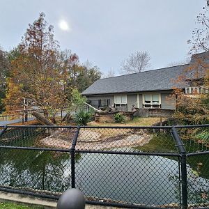 Oxbow Meadows ELC - American Alligator exhibit